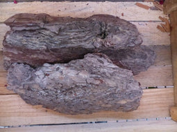 Drie stukken boomschors