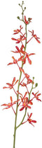 Driesprong collection - Cattleya orchidee 82 cm kunstbloem zijde n...