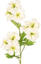 Driesprong collection - Geranium ooievaarsbek wit/geel kunstbloem...