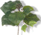 Driesprong collection - Hedera franse steek x10lvs 25 cm kunstbloem...