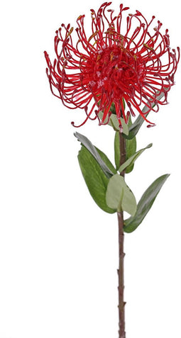 Driesprong collection - Leucospermum cordifolium rood kunstbloem z...