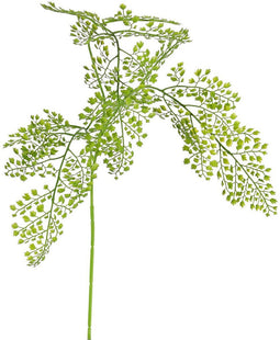 Driesprong collection - Venushaar adianthum tak large green kunstb...