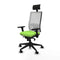 Bureaustoel Piqueras y Crespo 3D066N1 Pistache