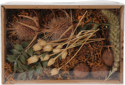 Droogbloemen mix in doosje Nature