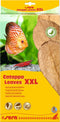 sera Catappa Leaves XXL 30 – 35 cm