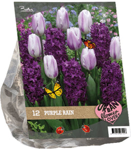 2 stuks - Baltus - Urban Flowers Purple rain per 12