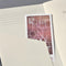 Sigel notitieboek A4 - Conceptum - 194 pagina's - 80 grams - dots - beige - SI-CO692
