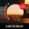 DistinQ Wake-Up Light - Wekkerradio - Dubbele wektijd Slaaphulp USB