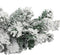 vidaXL - Kerstslinger - met - sneeuw - 5 - m - PVC - groen