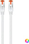UTP Category 6 Rigid Network Cable Ewent EW-6U-005 (0,5 m)