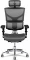 X-Chair bureaustoel X2 Zwart met hoofdsteun