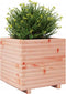 vidaXL - Plantenbak - 50x50x49,5 - cm - massief - douglashout