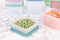 Amuse Diepvriesdozen - Set van 10 - Bewaardoos - Compacte Vershouddoos - Duurzaam - Tot -30°C en max 100°C
