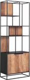 DT Home TV wall element bookcase Cosmo, 2 doors, open racks,220x80x40 cm, recycled teakwood