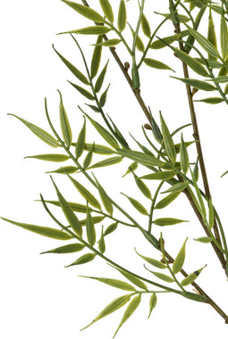 J-Line bamboetak Fijn 3 Delig - kunststof - groen - 12 stuks