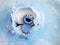 Glopals Light-Up Character Sesamstraat Koekiemonster Badspeelgoed GP-FIN-CHAR-COOKIE