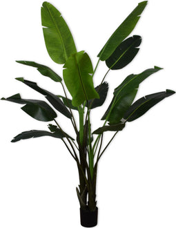Silk-ka Kunstplant Strelitzia Zijde Groen 243 cm