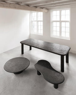 DTP Home Dining table Clio rectangular 260 PEPPER,76x260x100 cm, mortex