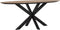 DTP Home Dining table Shape oval,78x200x100 cm, recycled teakwood