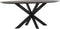 DTP Home Dining table Shape oval BLACK,78x200x100 cm, recycled teakwood