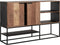 DTP Home Dresser Cosmo No.1 small, 2 doors, 2 open racks,100x160x40 cm, recycled teakwood