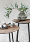 DTP HOME HIGHLIGHT SALONTAFEL NEPTUNES SMALL