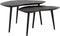 DTP Home - Highlight Salontafel Organus