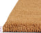 vidaXL - Deurmat - 50x80 - cm - getufte - kokosvezel - naturel