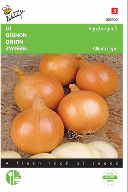 2 stuks - Buzzy - Uien Rijnsburger, Bolronde Gele