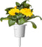 Click & Grow Calendula / 3-pack
