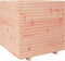 vidaXL - Plantenbak - 70x70x72,5 - cm - massief - douglashout