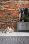 Komar - Fotobehang - Bricklane - 368x248 - cm