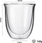 Dubbelwandige theeglazen koffieglazen - Cappuccino glazen - Warme en koude dranken koffietassen dubbelwandig - 250 ML - Set van 6 - VDN