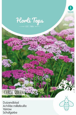 Duizendblad Cerise Queen