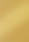 Folia Paper - Fotokarton folia 2z 50x70cm 250gr parelm nr65 goud | 10 stuks