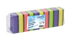 Cleaninq - Schuurspons assorti 10 stuks