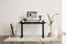 Standing Desk - Pro / Touch - Black Oak
