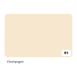 Folia Paper - Fotokarton Folia 2zijdig 50x70cm 300gr nr01 champagne | 10 stuks