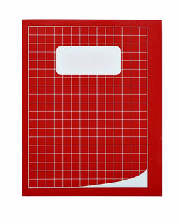Qbasic - Schrift 210x165mm ruit 10mm 80blz assorti