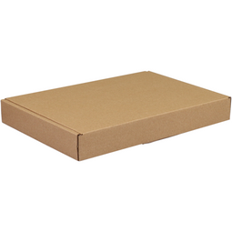 SendProof® - Verzenddoos | A5 | golfkarton | 220x155x28mm | met klep | enkele golf | bruin | 50 stuks