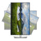 Gaming-Monitor Dell P Series P2723QE 4K Ultra HD 27