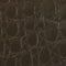 ClearPlex Back Film Small up to 7 inch (10-pack) Alligator Brown