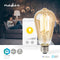 SmartLife LED Filamentlamp | Wi-Fi | E27 | 806 lm | 7 W | Warm Wit | Glas | Android / IOS | ST64