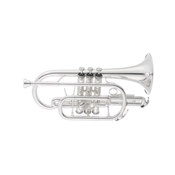 Jupiter Cornet JCR700SQ