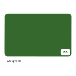 Folia Paper - Fotokarton Folia 2zijdig 50x70cm 300gr nr55 grasgroen | 10 stuks