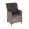 Darwin Dining Chair Straight Armrest - Rattan Mixed Brown -