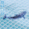 Spel/set Colorbaby Racing Boat Radiografische besturing Walvis