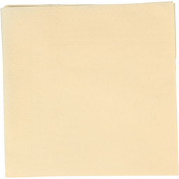 Klika - Servetten 33x33cm 2 laags 100 stuks room