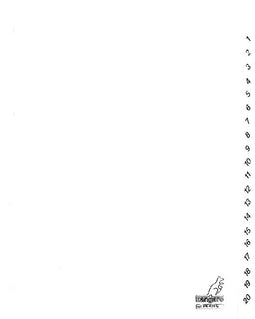 Kangaro - Tabbladen 4-gaats PK420C 1-20 genummerd wit karton