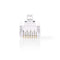 RJ45-Connector | Male | Stranded UTP CAT6 | Recht | Verguld | 1 Stuks | PVC | Transparant